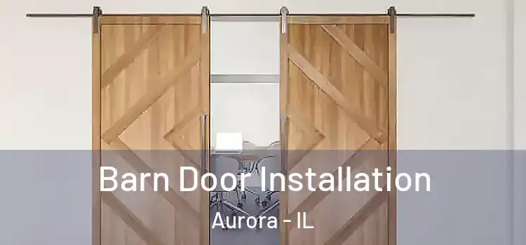  Barn Door Installation Aurora - IL