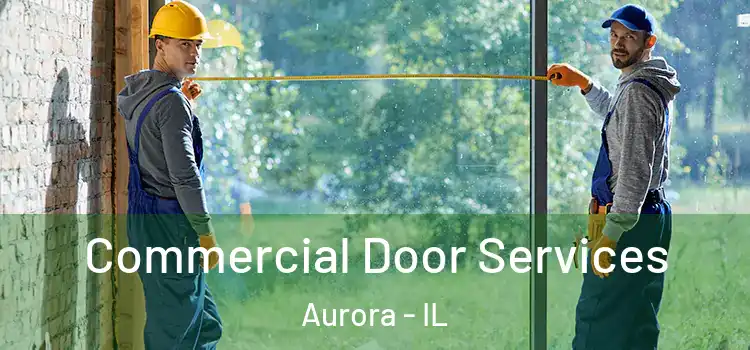  Commercial Door Services Aurora - IL