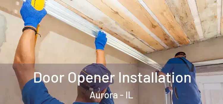  Door Opener Installation Aurora - IL