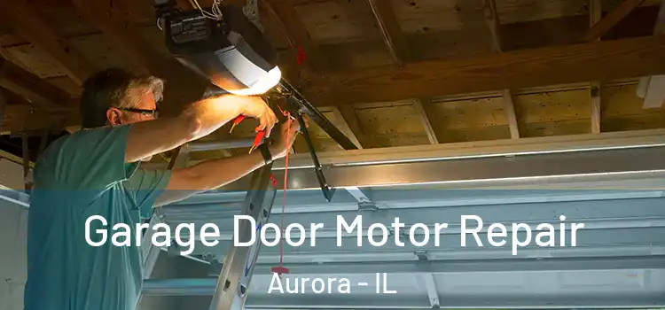  Garage Door Motor Repair Aurora - IL