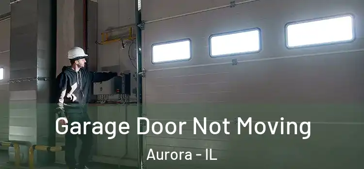  Garage Door Not Moving Aurora - IL