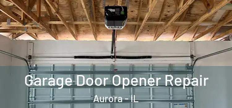  Garage Door Opener Repair Aurora - IL