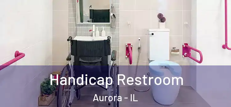  Handicap Restroom Aurora - IL