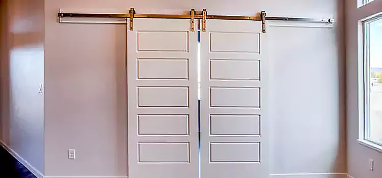 Glass Barn Door with Installation Hardware Kit Aurora