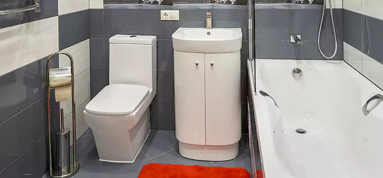 Hansgrohe Shaving Mirror Aurora