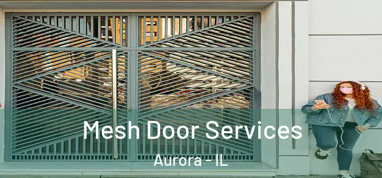  Mesh Door Services Aurora - IL
