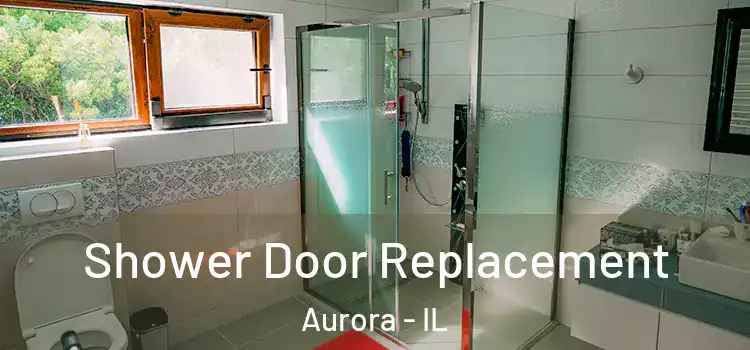  Shower Door Replacement Aurora - IL